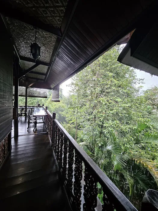 Warung Bonda Rumah Hutan Terapi Alam Picture 8