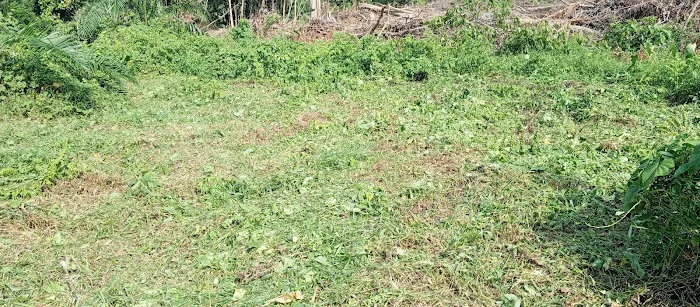 Pulau Kerayong Batu Talam Picture 1