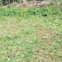 Pulau Kerayong Batu Talam ico