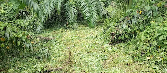 Pulau Kerayong Batu Talam Picture 2
