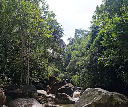 Sg. Pinang, Genting