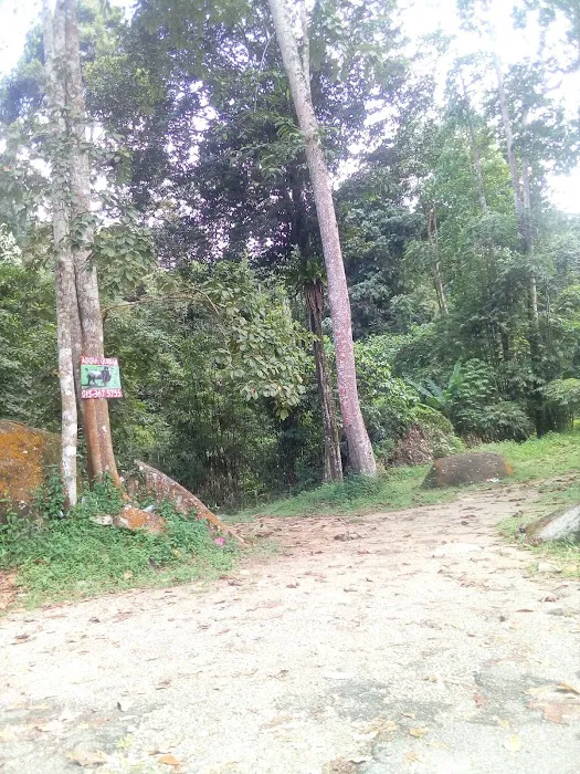 Sg. Pinang, Genting Picture 6