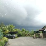 Citra semerbak sdn bhd