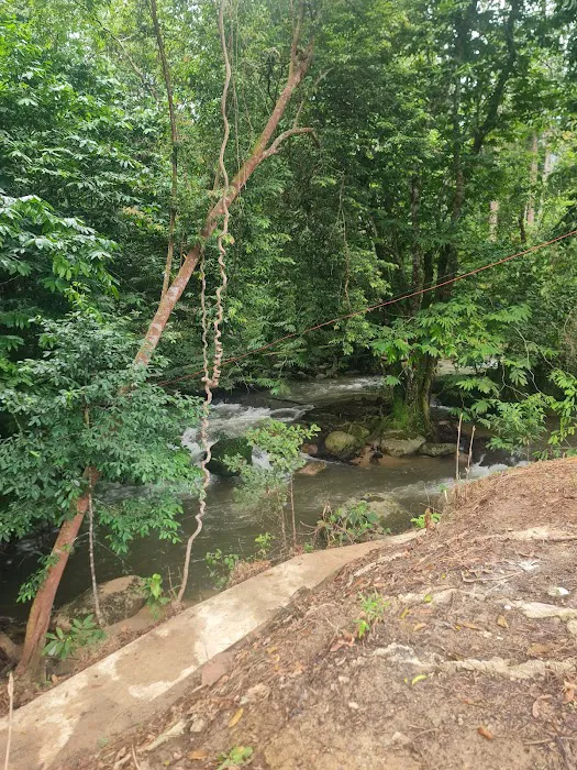 Lata Sia Campsite Picture 5