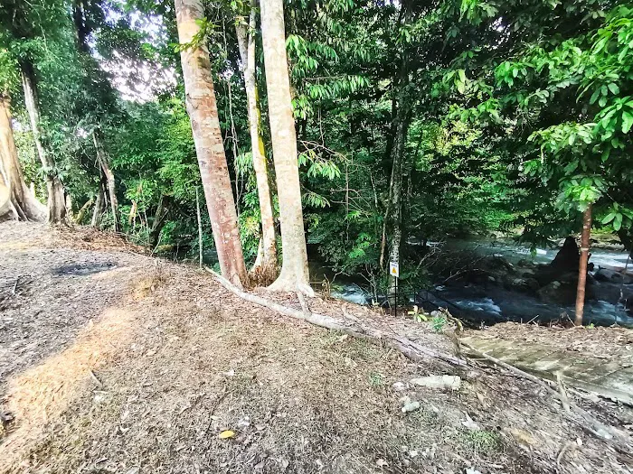 Lata Sia Campsite Picture 7