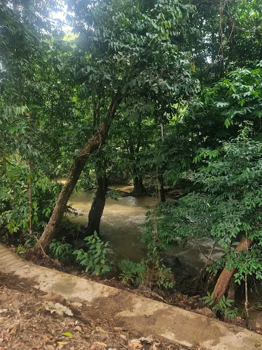 Lata Sia Campsite Picture 9