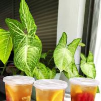 MoleKopi Cafe ico