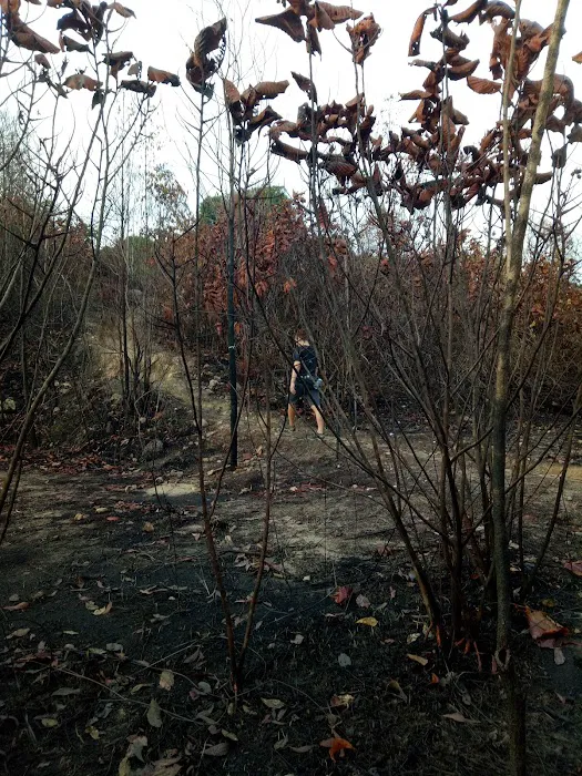 Bukit Besi Trailhead Picture 6