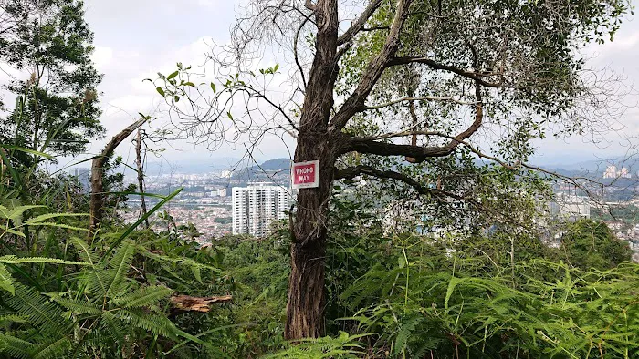 Bukit Besi Trailhead Picture 3