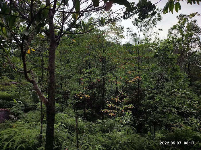 Ketumbar Hill Top Camp Picture 9