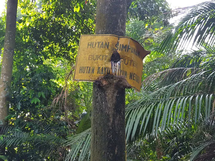 Ketumbar Hill Top Camp Picture 8