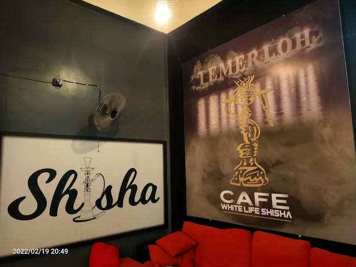 Cafe white life shisha Picture 3