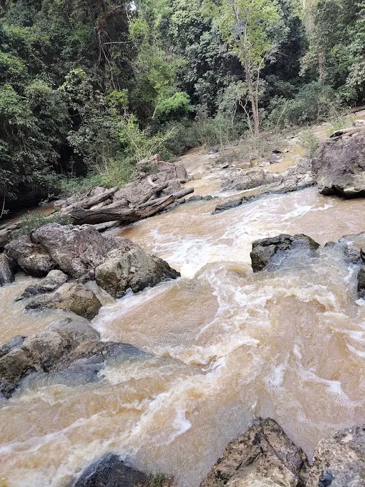 Lata Dohong, Kg Batu Balak, Kuala Tembeling Picture 2