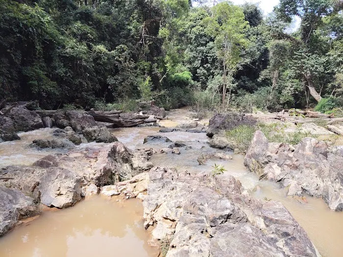 Lata Dohong, Kg Batu Balak, Kuala Tembeling Picture 1
