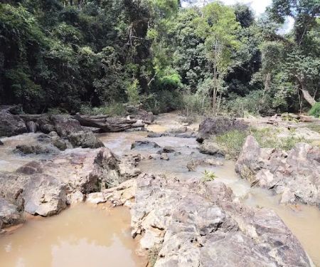 Lata Dohong, Kg Batu Balak, Kuala Tembeling