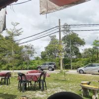 Patin Tempoyak ico