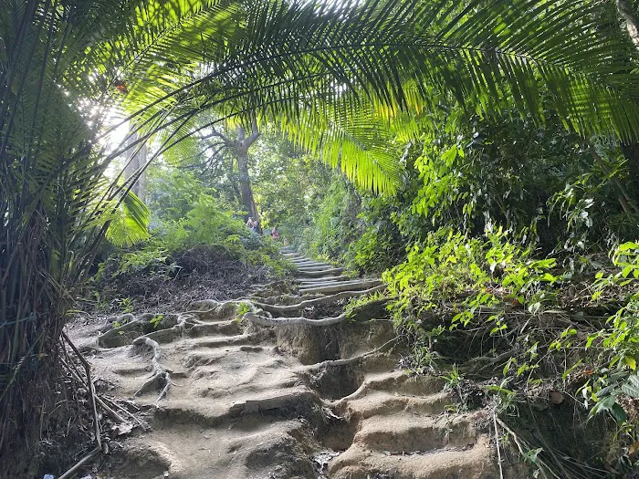 Ketumbar Hill Picture 5
