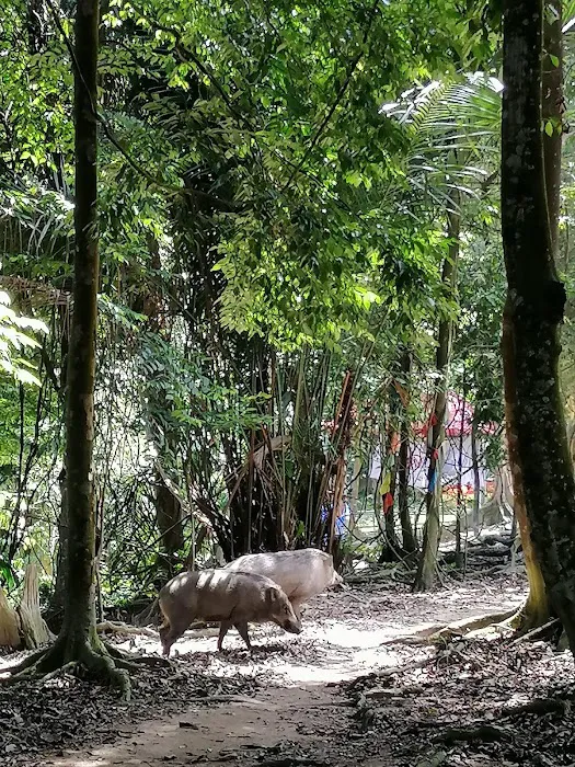 Ketumbar Hill Picture 9