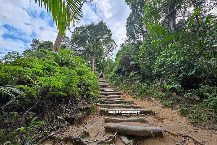 Ketumbar Hill Picture 7