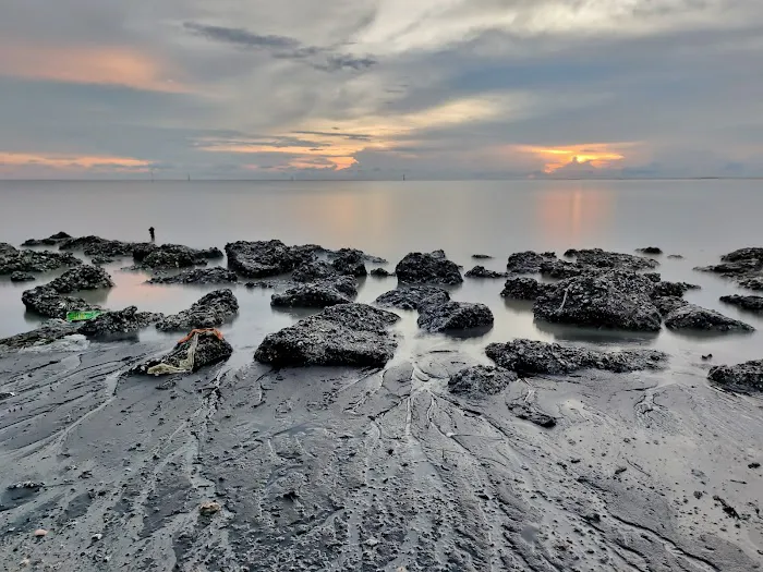 Pengkalan alhaafiz pantai berlumpur Picture 2