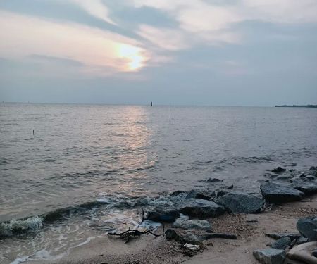 Pengkalan alhaafiz pantai berlumpur