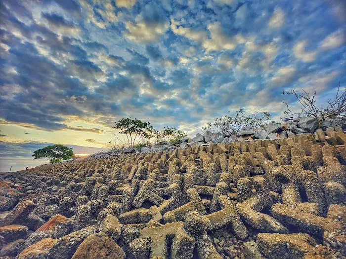 Pengkalan alhaafiz pantai berlumpur Picture 3