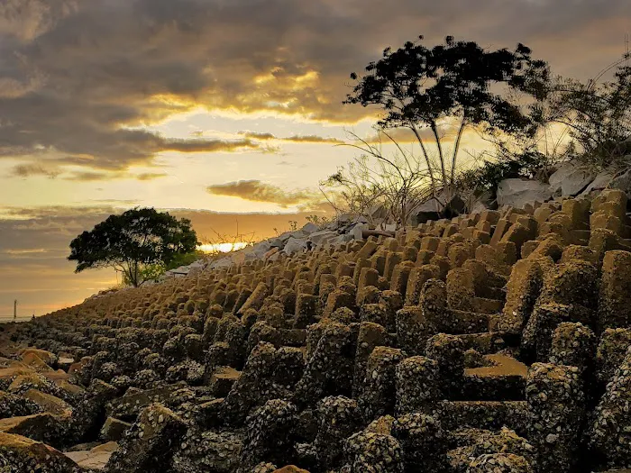 Pengkalan alhaafiz pantai berlumpur Picture 10