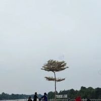 Riverside ico