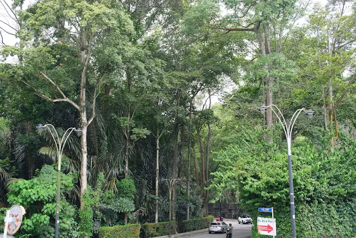 Taman Etnobotani Picture 8