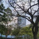 Padang Merbok