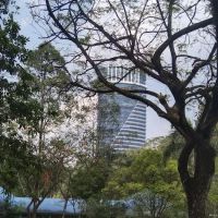 Padang Merbok ico