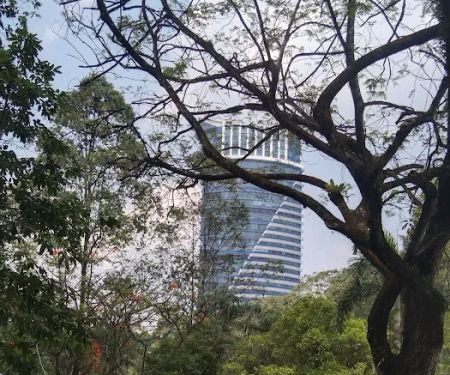 Padang Merbok