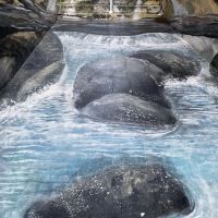 The Waterfall Mural of Temerloh ico
