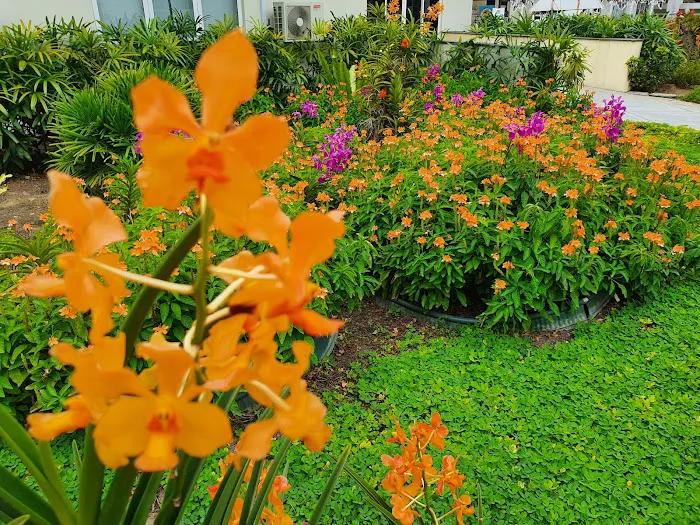 Pusat Interpretasi / Interpretation Centre Taman Botani Perdana Picture 3