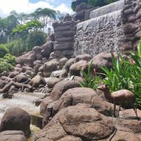 Mini waterfalls perdana botanical garden ico