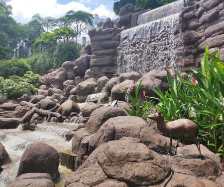 Mini waterfalls perdana botanical garden