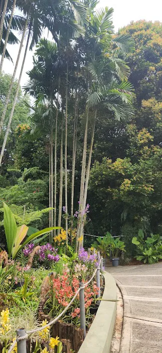 Mini waterfalls perdana botanical garden Picture 7