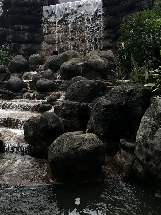 Mini waterfalls perdana botanical garden Picture 3
