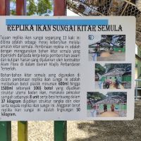 Replika ikan sungai kitar semula ico