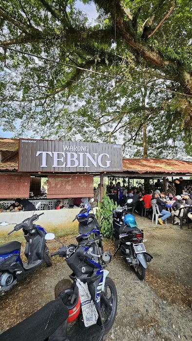 PATIN TEMERLOH (BELLAEDY RESOURCES) Picture 2