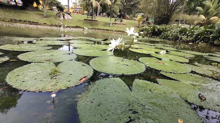 Laman Lotus Picture 1