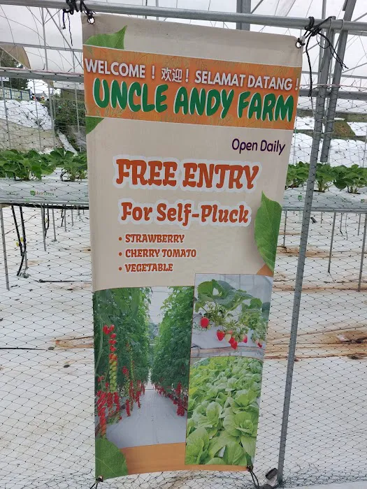 Millercle Highland Strawberry Farm Picture 9