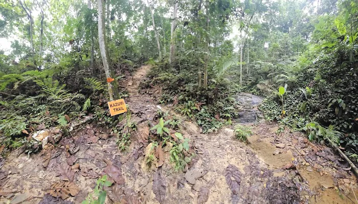 Bukit Dinding Hiking Trail (Kazumi) Picture 1
