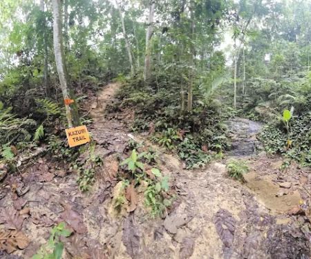 Bukit Dinding Hiking Trail (Kazumi)