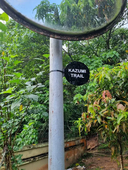 Bukit Dinding Hiking Trail (Kazumi) Picture 5