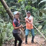 Bukit dinding mini tahan trail