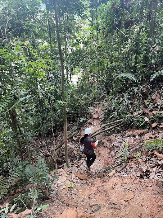Bukit dinding mini tahan trail Picture 4