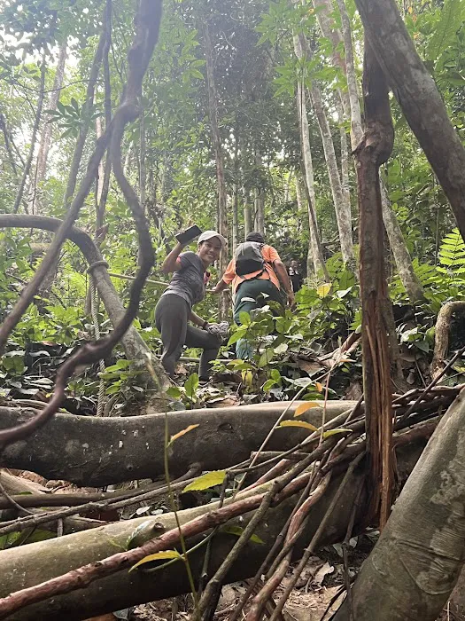 Bukit dinding mini tahan trail Picture 3