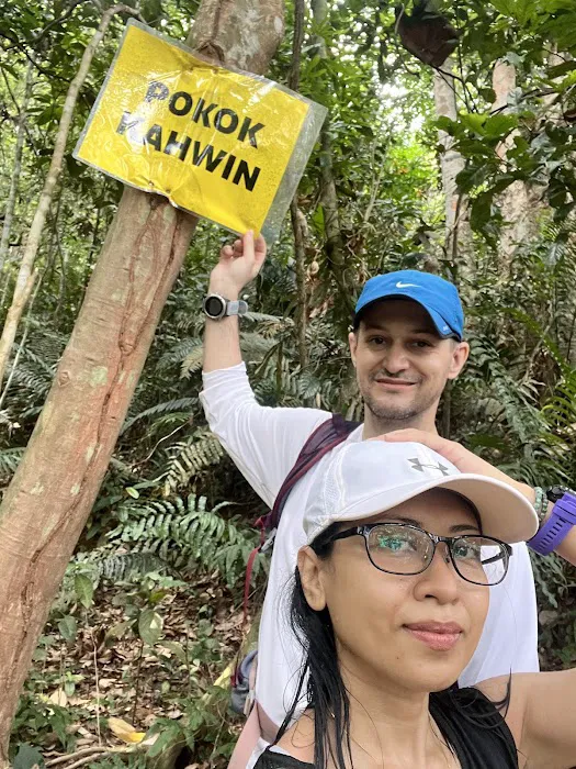 Bukit dinding mini tahan trail Picture 8