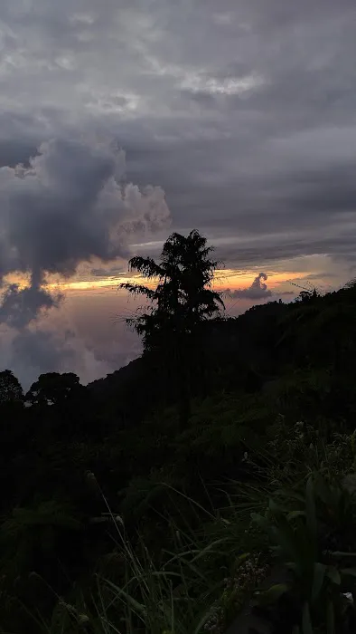 Genting Sunset View Picture 4